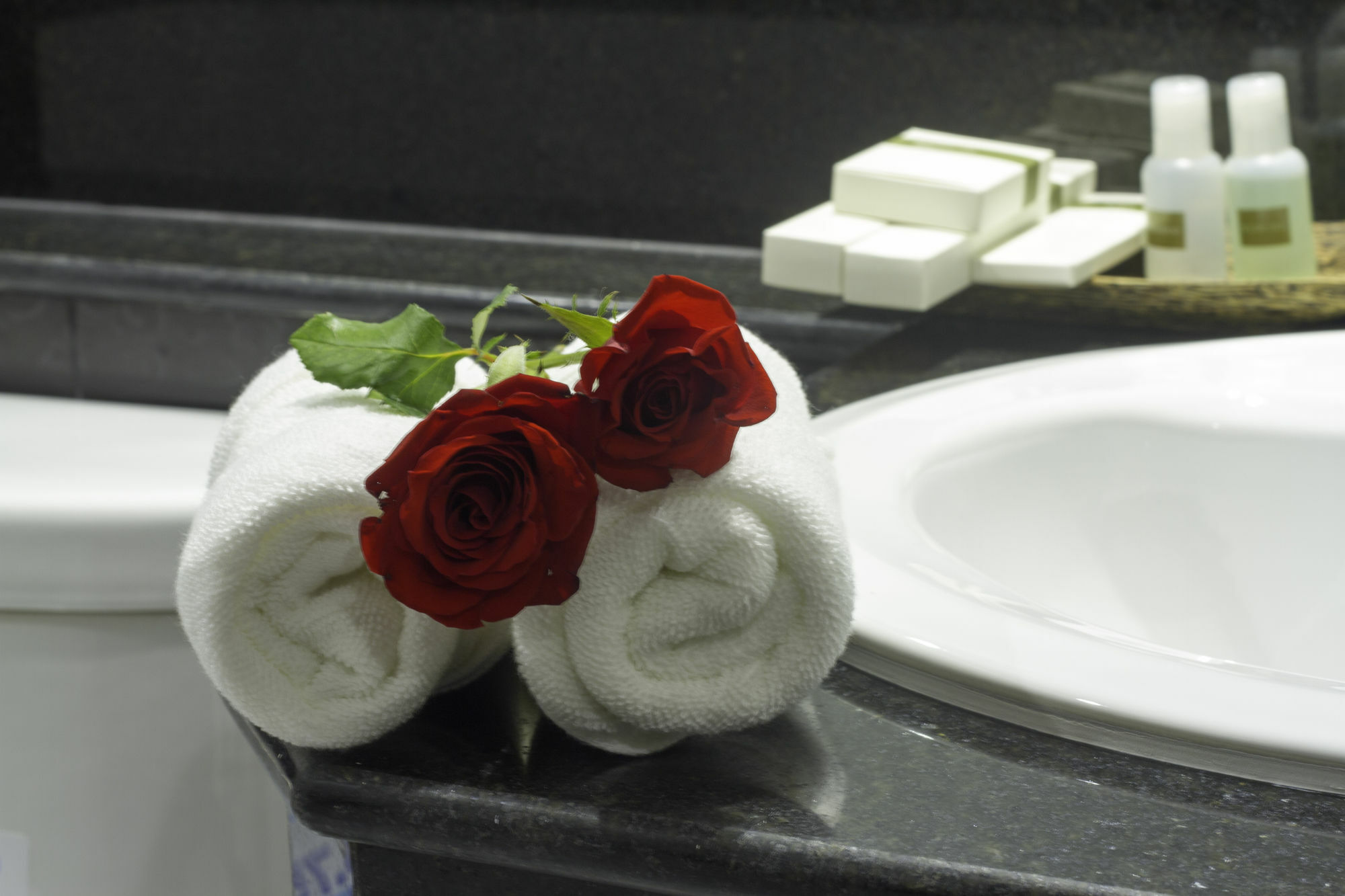 פנום פן Rose Emerald Hotel מראה חיצוני תמונה